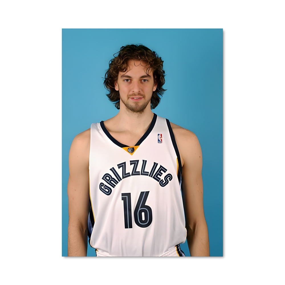 Poster Pau en Action
